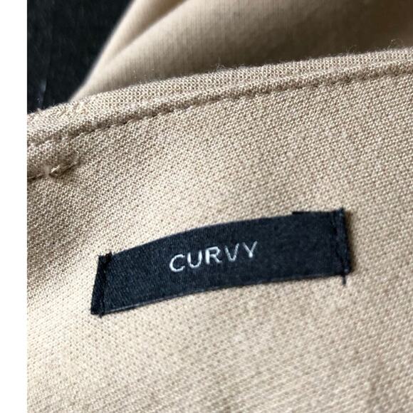 Talbots Curvy Fit British Khaki Pants Women's Size 10 Business Career Stretch - Picture 11 of 13